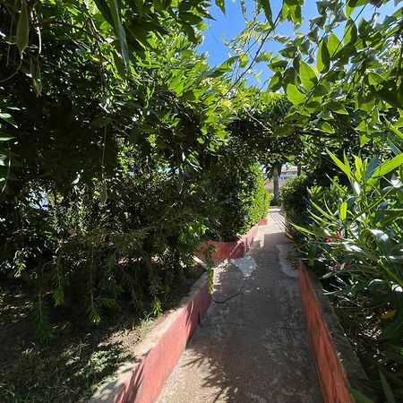 Le Rateau Bavoir Calvi  Esterno foto